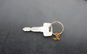 YAMAHA VIRAGO250 TRIKE  3DM