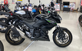 KAWASAKI Z250 ER250C