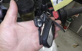 TRIUMPH TIGER 1200 GT PRO 2024