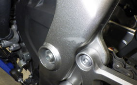 KAWASAKI ZX-4RR 2024 ZX400P
