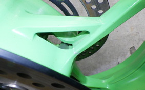 KAWASAKI ZX-4RR 2024 ZX400P