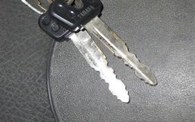 YAMAHA TRICKER Gen.2 DG16J