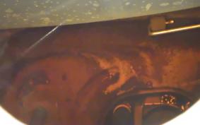 HONDA CBR1100XX 1999