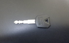 KAWASAKI NINJA 250 EX250L