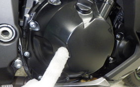 KAWASAKI NINJA 1000SX 2023 ZXT02K