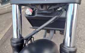 HONDA  REBEL 250 ABS MC49