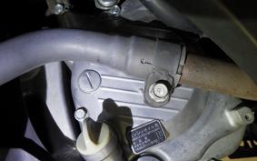 HONDA FORESIGHT EX 2025 MF04