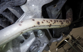 HONDA ﾀﾞﾝｸ AF78