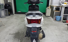 HONDA LEAD 110 2024 JF19