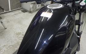 HONDA REBEL 250 2021 MC49