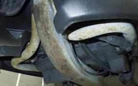 SUZUKI ﾚｯﾂ CA4AA