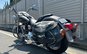 HARLEY FLSTC 2014 BJL