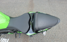 KAWASAKI NINJA ZX-6R 2010 ZX4R18