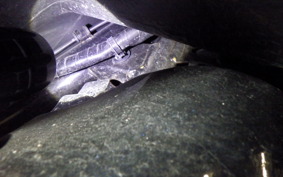 HONDA TACT-4ﾍﾞｰｼｯｸ AF79