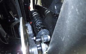 HARLEY FLTRX1920 2024