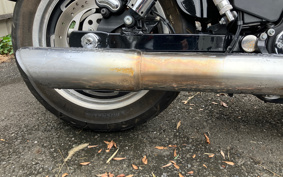 HARLEY HARLEY FXDL1580 2015 GN4