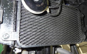 SUZUKI Vｽﾄﾛｰﾑ250