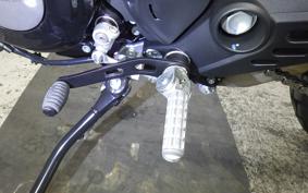 DUCATI SCRAMBLER ICON 2026
