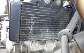 HONDA VTR 250 MC33