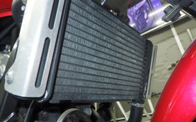 HONDA HORNET 250 2009 MC31