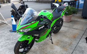 KAWASAKI NINJA 250 KRT ED EX250Y