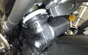 TRIUMPH SPEED 400 2024