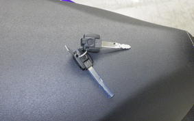 YAMAHA CYGNUSｸﾞﾘﾌｧｽ 1993 SEJ4J