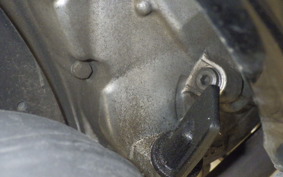 SUZUKI GEMMA 250 2010 CJ47A