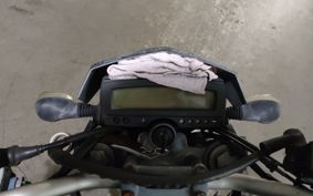 KAWASAKI D-TRACKERX LX250V