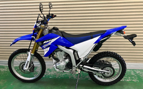 YAMAHA WR250R DG15J