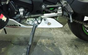 KAWASAKI NINJA ZX-6R A 2021 ZX636G