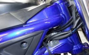 SUZUKI SV650 2021 VP55B