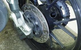 TRIUMPH SPEED TWIN 2024