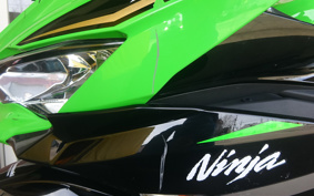 KAWASAKI NINJA ZX-25R ZX250E