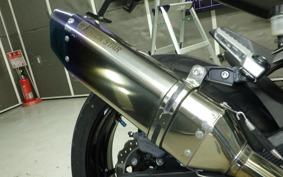 KAWASAKI NINJA 250 EX250P