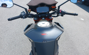 KTM 1290 SUPER DUKE R 2017 V3940