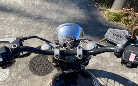 YAMAHA SRV250 RENAISSA 4DN