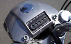 HARLEY FXDL 100th 2002 GDV