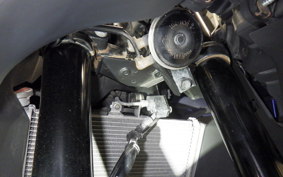 YAMAHA YZF R-3 2024 RH21J