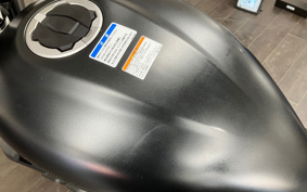 KAWASAKI ELIMINATOR 400-1 2023 EL400A