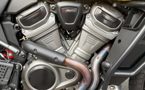 HARLEY PAN AMERICA 1250 SPECIAL 2023 ZES