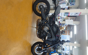 YAMAHA XSR900 2023 RN80J