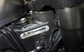 KAWASAKI NINJA 1000 2013