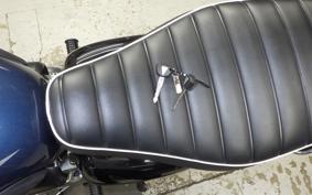 KAWASAKI W800 2025 EJ800E