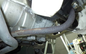 HONDA C110 SUPER CUB