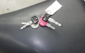 HONDA C50 SUPER CUB 2015 AA04