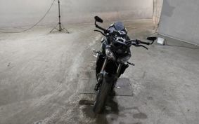TRIUMPH  TRIUMPH  STREET  TRIPLE RS HDA614
