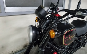 HARLEY X500 2024 W5B