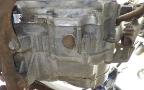 HONDA R&amp;P 2024 CY50