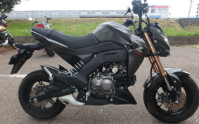 KAWASAKI Z125 PRO BR125H
